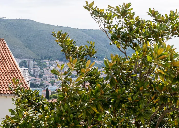 Mala Ana دوبروفينك